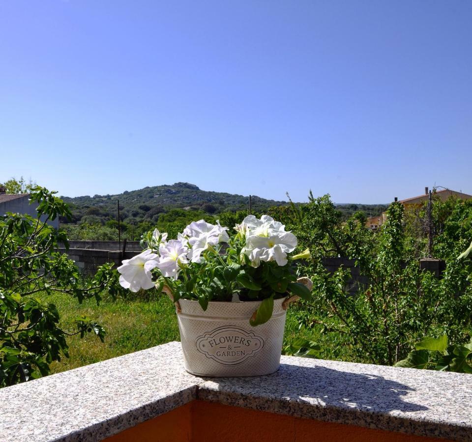 Casa Duminicheddha, Mare E Relax In Gallura Bassacutena Ngoại thất bức ảnh